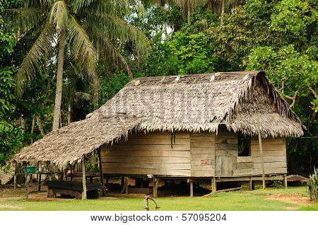 Peruvian Amazonas, Indian Settlement