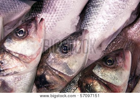 Fish for food