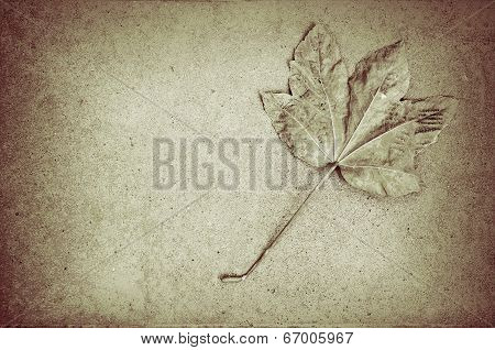Dead Leaf Bw