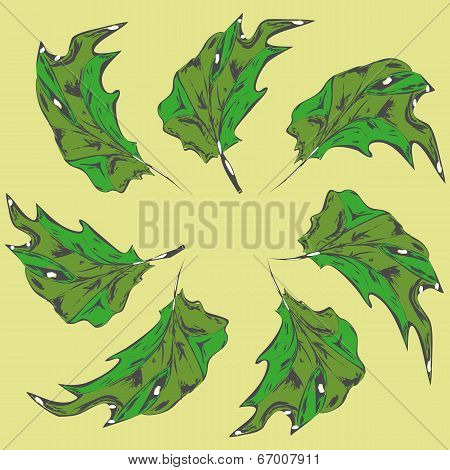 Green Leaves Of The Trees.