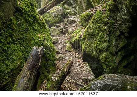 Czech National Natural Heritage Rudice Basin
