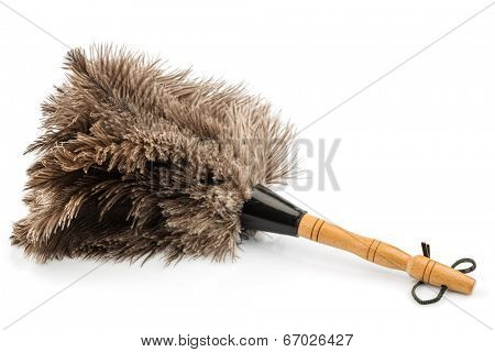 a feather duster against white background, symbol photo for cleanliness and care