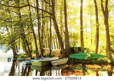 Nature Summer Landscape.