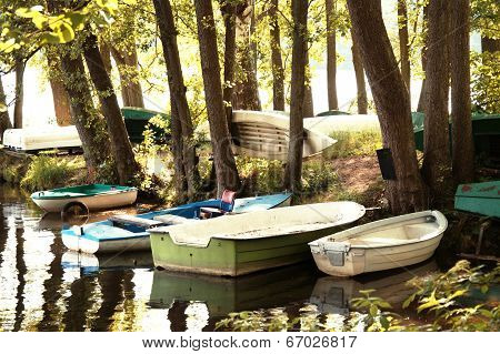 Nature Summer Landscape.