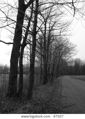 Einen kalten Spaziergang