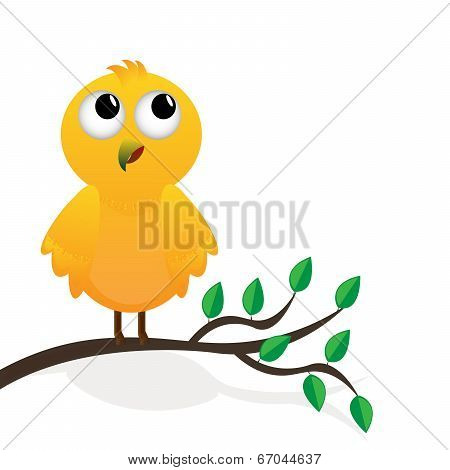 Yellow bird on a branch of a tree