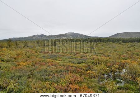 Autumn Tundra On The Background Of Mountains In Yakutia.