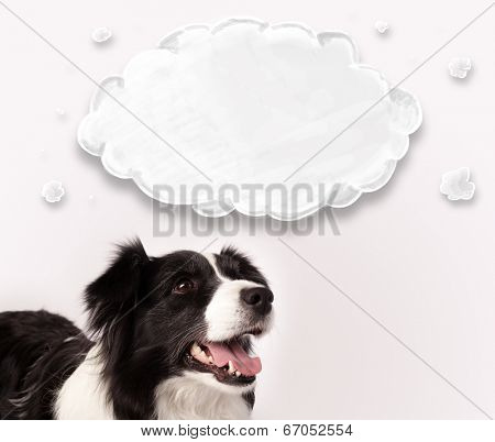 Cute black and white border collie with empty cloud above her head