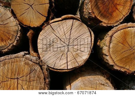Wood logs