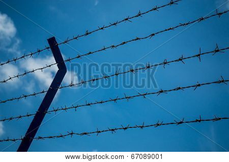 Barbed Wire