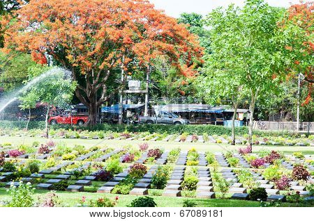 The Kanchanaburi War Cemetery, Thailand