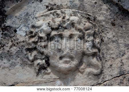Medusa Gorgon
