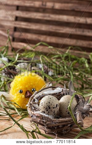 nest with  quail eggs and chick
