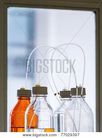 Glass Bottle With Plastic Hose