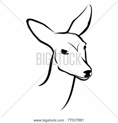 Roe Head