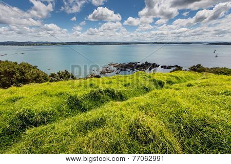 Landscape From Russell Near Paihia, Bay Of Islands, New Zealand