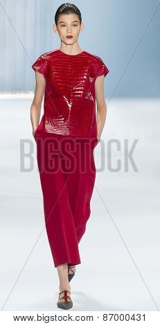 Carolina Herrera - Fall 2015 Collection