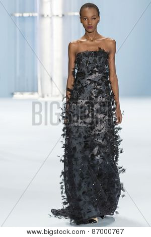 Carolina Herrera - Fall 2015 Collection