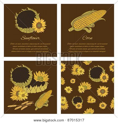 Sunflower Vector Greeting Card Set On The Dark Background