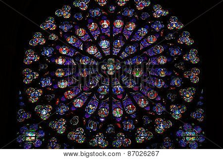 Paris Notre Dame Cathedral.