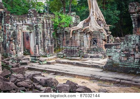 Preah Khan Temple, Angkor Area, Siem Reap, Cambodia