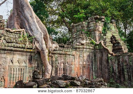 Preah Khan Temple, Angkor Area, Siem Reap, Cambodia