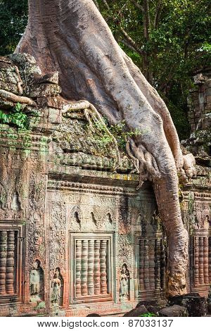 Preah Khan Temple, Angkor Area, Siem Reap, Cambodia