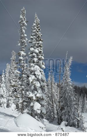 Colorado