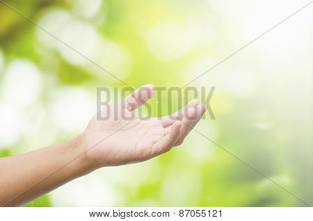 Open hand on nature boken back ground