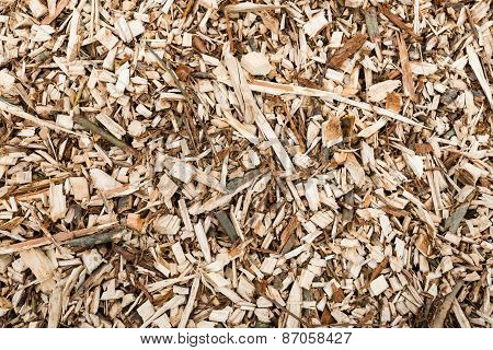 Shredded Wood From Pruned Branches From Close
