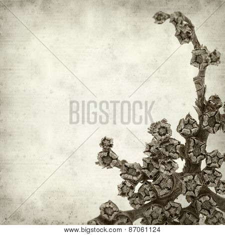 Textured Old Paper Background