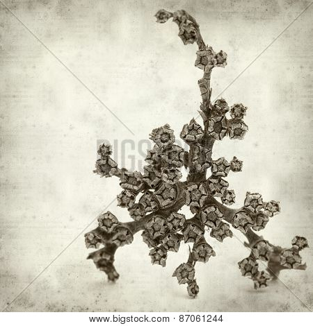Textured Old Paper Background
