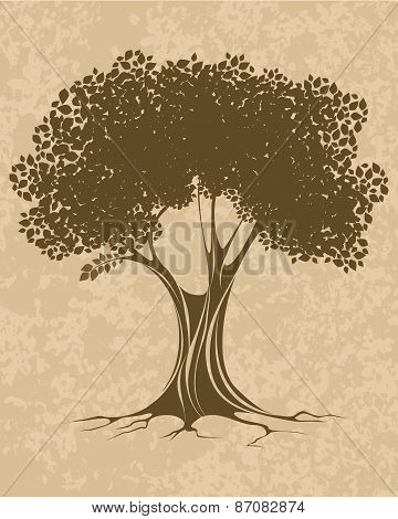 Brown Tree