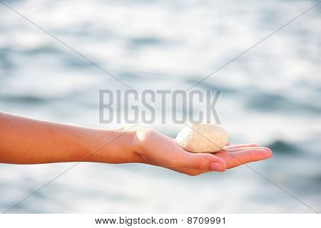 Seastone nel palmo della mano