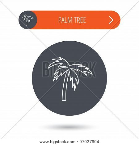 Palm tree icon. Travel or vacation symbol.