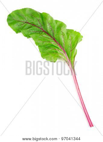 Fresh swiss chard, isolated on white
