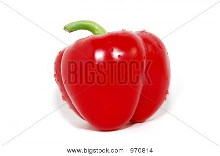 Červená paprika