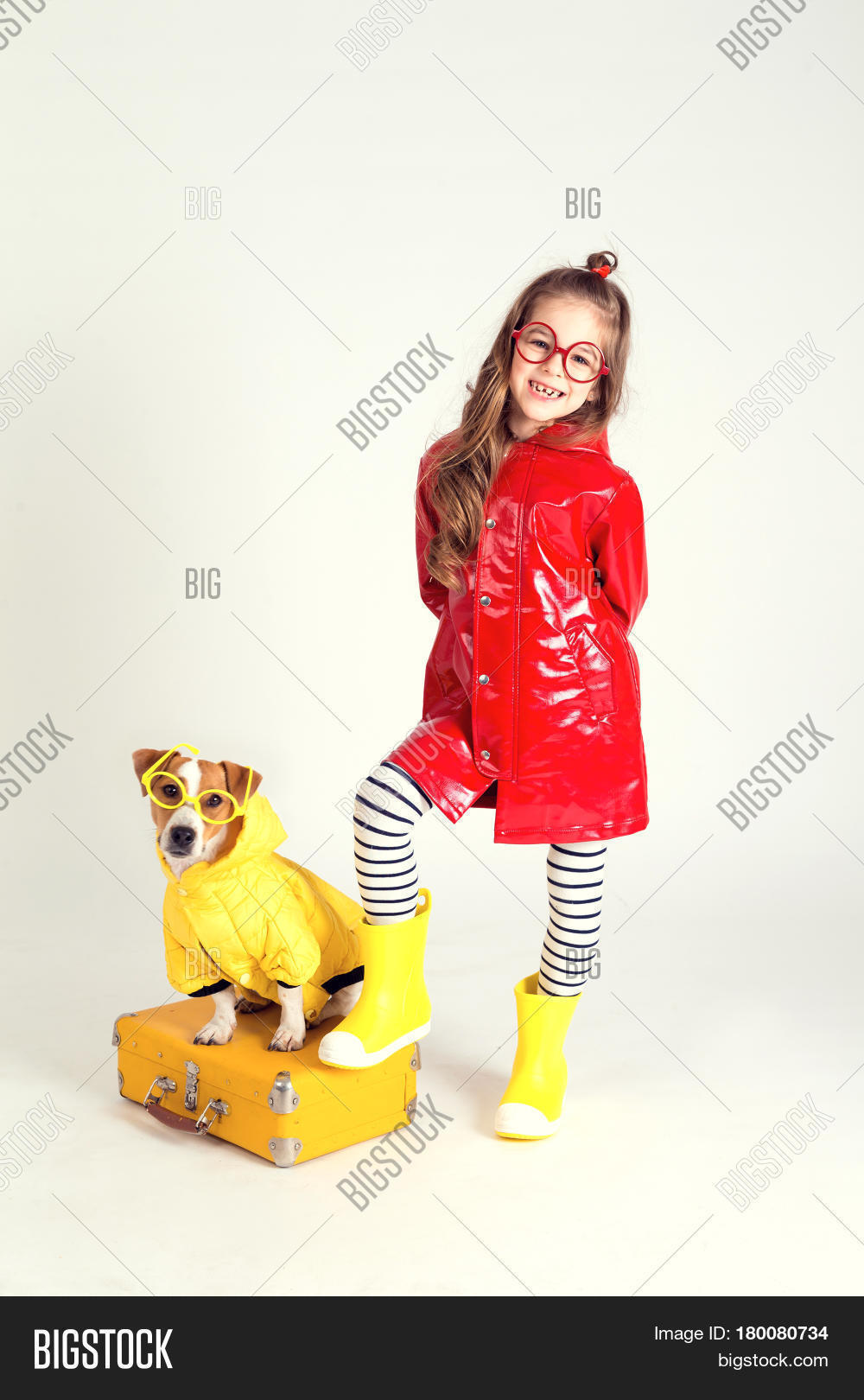 jack russell raincoat