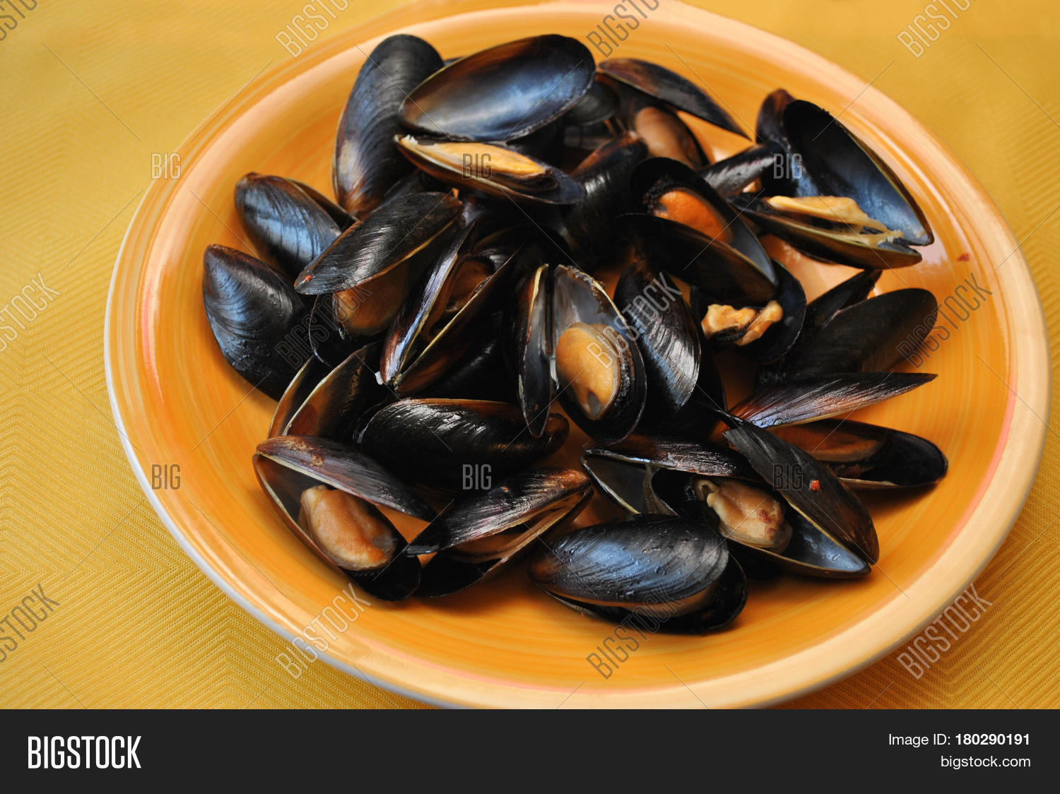 Steamed Fresh Mussels Image & Photo (Free Trial) Bigstock