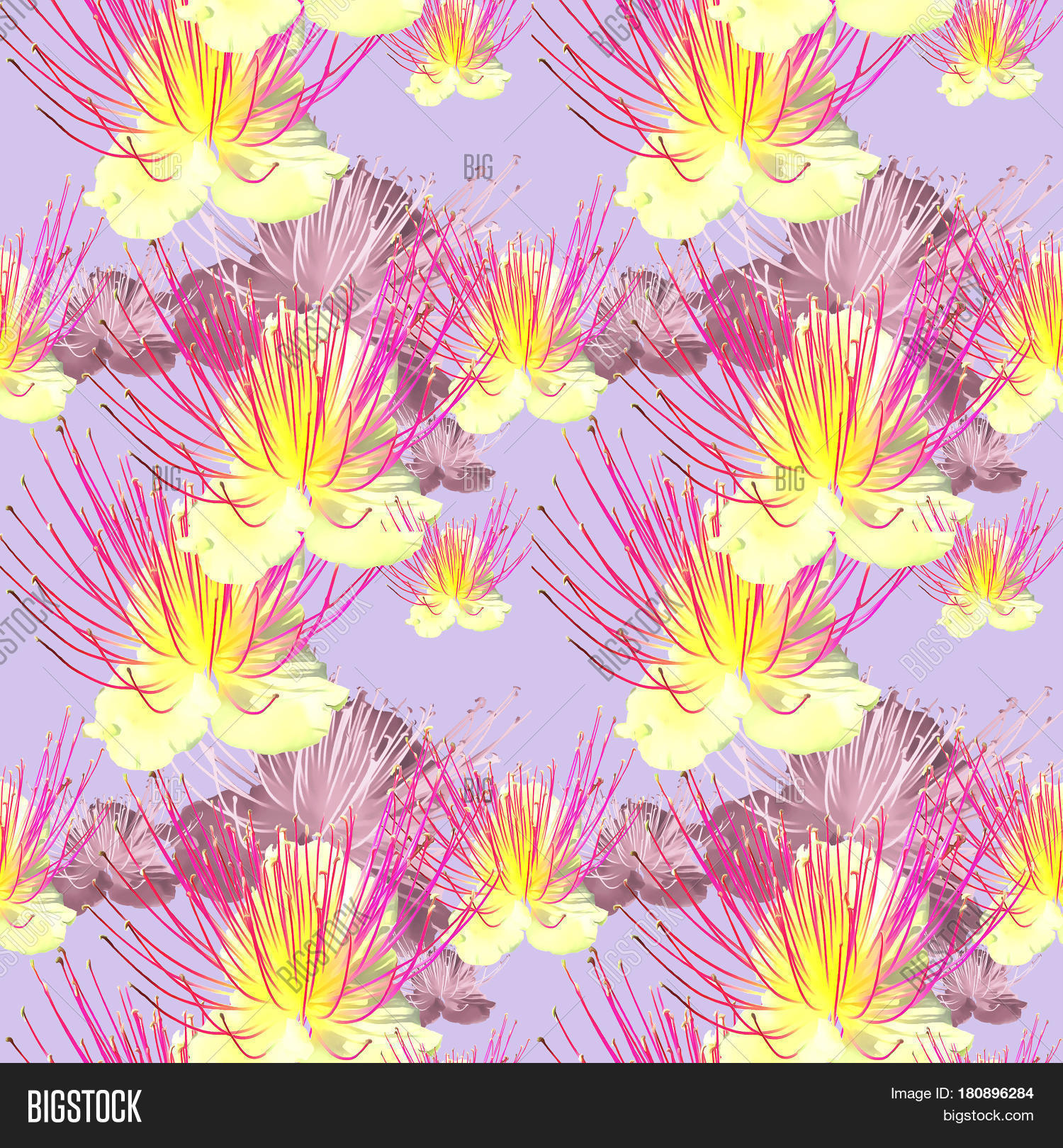 Capers. Texture Image & Photo (Free Trial) Bigstock