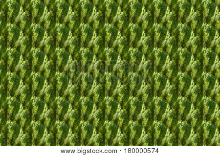 Abstract Background - Water Drops On Glass Or Metal, Seamless Texture, Endless Texture Can Be Used F