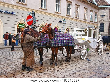 Horse Fiacre At Stephansplatz In Vienna City Center