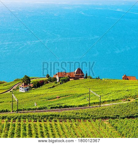 Railway Line At Lavaux Vineyard Terraces Lake Geneva