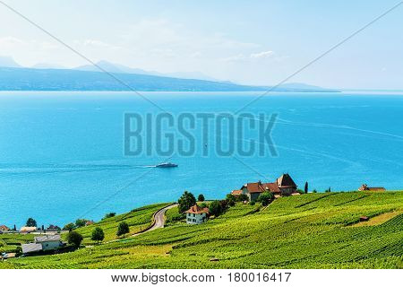 Lavaux Vineyard Terrace In Swiss