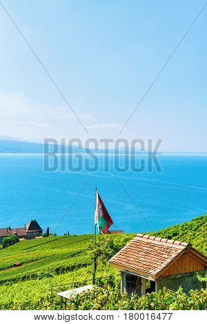 Lavaux Vineyard Terraces Hiking Route In Swiss