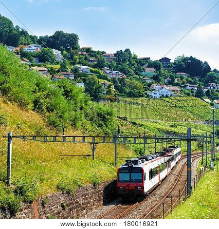 Running Train At Lavaux Vineyard Terrace Hiking Trail Swiss