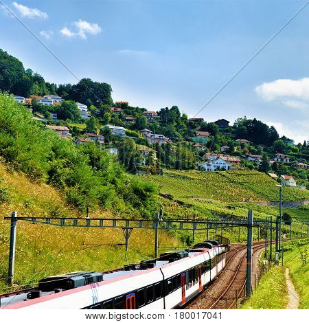 Running Train In Lavaux Vineyard Terraces Hiking Trail In Swiss