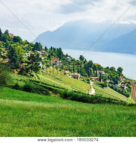 Countryside At Lavaux Vineyard Terrace Hiking Trail Switzerland
