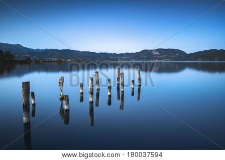 Wooden pier or jetty remains on blue lake sunset and sky reflection water. Long exposure Versilia Massaciuccoli Tuscany Italy.