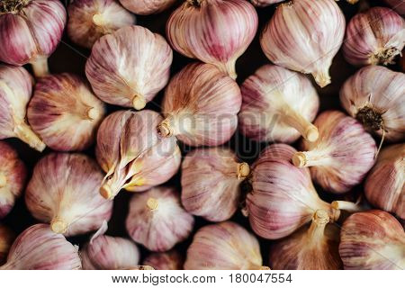 Close-up Garlic Bulbs And Garlic Cloves On Wodeen Background. Ga